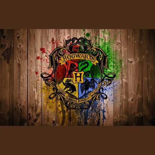 👩‍🎓 Hogwarts 👨‍🎓